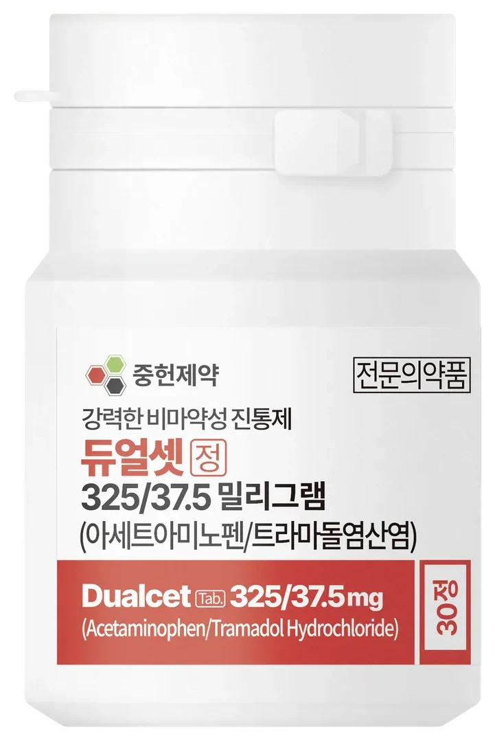듀얼셋정